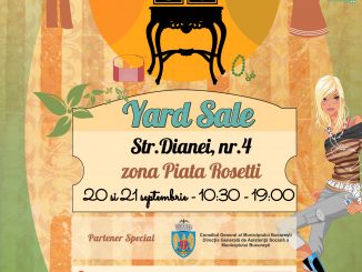 Yard Sale Septembrie la Dianei 4
