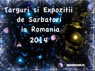 TARGURI SI EXPOZITII DE SARBATORI IN ROMANIA 2014