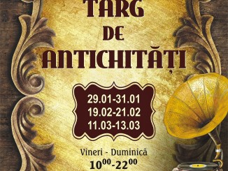 Expo Antichitati - Timisoara